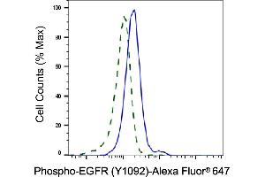 Validation of EGFR knockdown using flow cytometry. (Rekombinanter EGFR Antikörper  (pTyr1068))