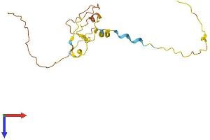 PSORS1C1 Protein (AA 1-152) (His tag)