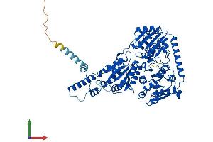 AlphaFold protein structure predicition of Mouse Recombinant Ilvbl Protein, UniprotID Q8BU33 (ILVBL Protein (AA 1-632) (His tag))