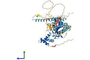 Protein Structure (PS) image for Guanine Nucleotide Binding Protein-Like 3 (Nucleolar)-Like (GNL3L) (AA 1-577) protein (His tag) (ABIN7564133)