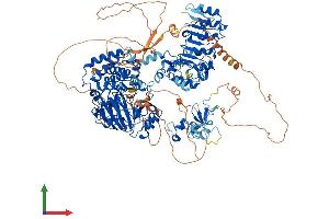 Protein Structure (PS) image for Lysine (K)-Specific Demethylase 2A (KDM2A) (AA 1-1161) protein (His tag) (ABIN7563486)