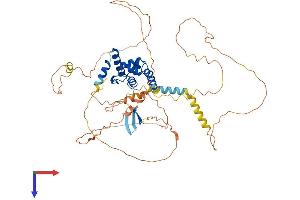 ARID3B Protein (AA 1-568) (His tag)