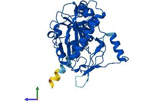 AlphaFold protein structure predicition of Mouse Recombinant Awat1 Protein, UniprotID A2ADU9 (AWAT1 Protein (AA 1-328) (His tag))