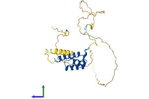 Protein Structure (PS) image for Homeobox C8 (HOXC8) (AA 1-242) protein (His tag) (ABIN7562767)