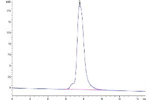 Size-exclusion chromatography-High Pressure Liquid Chromatography (SEC-HPLC) image for LI Cadherin (AA 23-787) protein (FITC,His tag) (ABIN7274307)