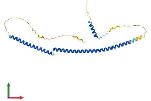 Protein Structure (PS) image for Breast Cancer Metastasis Suppressor 1 (BRMS1) (AA 1-246) protein (His tag) (ABIN7560430)