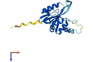 JOSD2 Protein (AA 1-188) (His tag)
