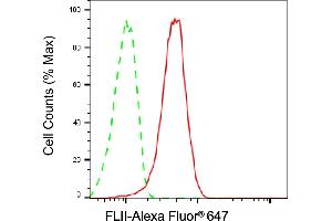 Flow cytometric analysis of FLII expression in H9c2 cells using FLII antibody (ABIN7798629), 1:2,000).