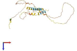 MDFIC Protein (AA 1-246) (His tag)