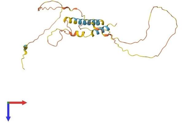 MDFIC Protein (AA 1-246) (His tag)