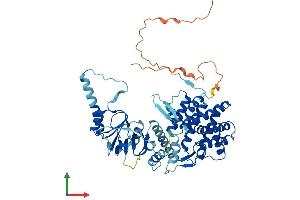 AlphaFold protein structure predicition of Human Recombinant CCT8L1P Protein, UniprotID A6NM43