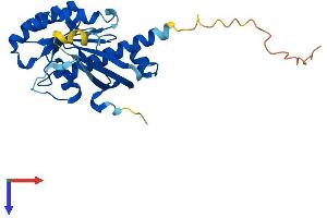 RAB34 Protein (AA 1-259) (His tag)