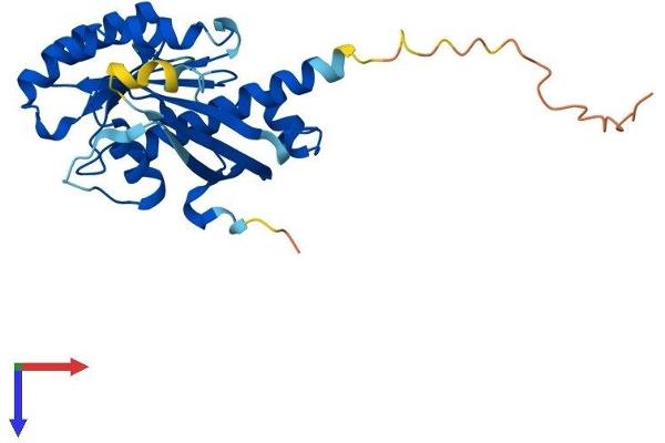 RAB34 Protein (AA 1-259) (His tag)
