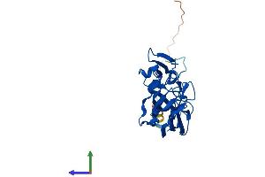 AlphaFold protein structure predicition of Human Recombinant FAM78A Protein, UniprotID Q5JUQ0