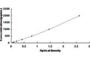 DEFB103A ELISA Kit