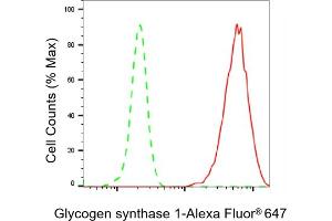 Flow cytometric analysis of Glycogen synthase 1 expression in HepG2 cells using Glycogen synthase 1 antibody (ABIN7798773), 1:2,000). (Rekombinanter Glycogen Synthase 1 Antikörper)