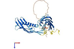 AHSA1 Protein (AA 1-338) (His tag)