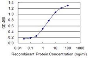 Detection limit for recombinant GST tagged HS6ST1 is 0. (HS6ST1 Antikörper  (AA 303-401))