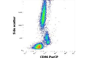 Flow cytometry surface staining pattern of human peripheral whole blood stained using anti-human CD86 (Bu63) PerCP antibody (10 μL reagent / 100 μL of peripheral whole blood). (CD86 Antikörper  (PerCP))