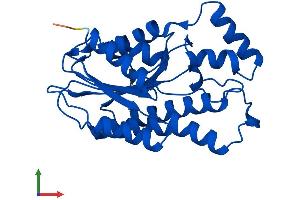 Protein Structure (PS) image for Sepiapterin Reductase (SPR) (AA 1-261) protein (His tag) (ABIN7557809)