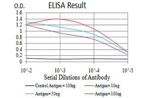 Fig. (ULK2 Antikörper  (AA 1-155))