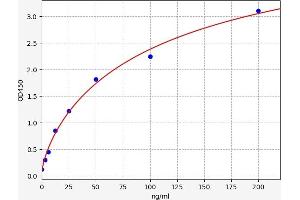 Carbonic Anhydrase III (CA3) ELISA Kit