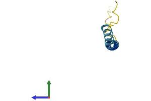 AlphaFold protein structure predicition of Human Recombinant SMIM3 Protein, UniprotID Q9BZL3