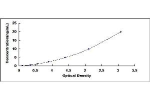 Typical standard curve (Vimentin ELISA Kit)