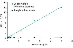 ELISA image for SensoLyte® Green SIRT2 Assay Kit (ABIN1882555) (SensoLyte® Green SIRT2 Assay Kit)