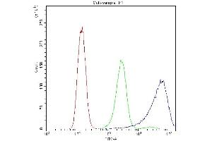 Flow Cytometry analysis of A431 cells using anti-Calpastatin antibody (ABIN4886503). (Calpastatin Antikörper  (Middle Region))