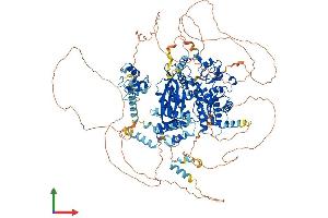 Protein Structure (PS) image for REV1, Polymerase (DNA Directed) (REV1) (AA 1-1249) protein (His tag) (ABIN7564842)