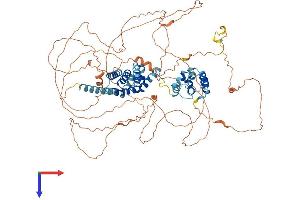 GPRASP2 Protein (AA 1-826) (His tag)