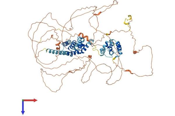 GPRASP2 Protein (AA 1-826) (His tag)