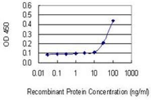 Detection limit for recombinant GST tagged RPL18A is 10 ng/ml as a capture antibody. (RPL18A Antikörper  (AA 77-176))