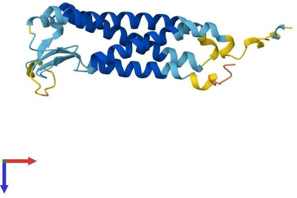 PERP Protein (AA 1-193) (His tag)