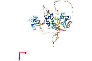 GABPA Protein (AA 1-454) (His tag)