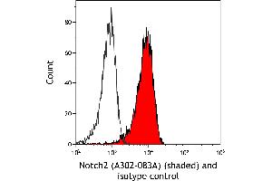 Flow Cytometry (FACS) image for anti-Notch 2 (NOTCH2) (AA 2250-2300) antibody (ABIN7454804) (NOTCH2 Antikörper  (AA 2250-2300))