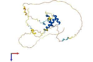 HOXC4 Protein (AA 1-264) (His tag)