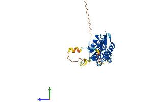 Protein Structure (PS) image for Potassium Channel Tetramerisation Domain Containing 10 (KCTD10) (AA 1-313) protein (His tag) (ABIN7552553)