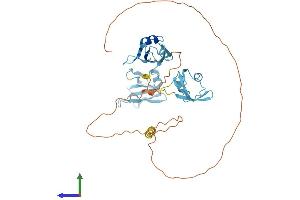 Protein Structure (PS) image for TAR DNA Binding Protein (TARDBP) (AA 1-414) protein (His tag) (ABIN7555684)
