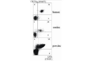 Flow Cytometry (FACS) image for anti-Complement Component (3d/Epstein Barr Virus) Receptor 2 (CR2) antibody (PE) (ABIN238435) (CD21 Antikörper  (PE))