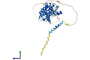 Protein Structure (PS) image for Heparan Sulfate (Glucosamine) 3-O-Sulfotransferase 3A1 (HS3ST3A1) (AA 1-393) protein (His tag) (ABIN7558724)