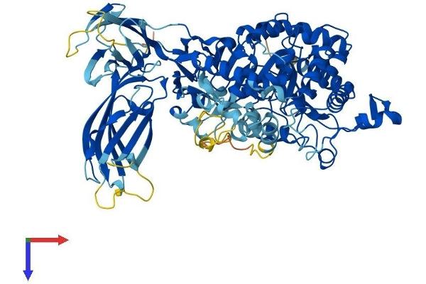 PLA2G4B Protein (AA 1-782) (His tag)