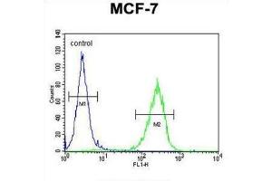 Flow Cytometry (FACS) image for anti-CO027 antibody (ABIN2995852) (CO027 Antikörper)