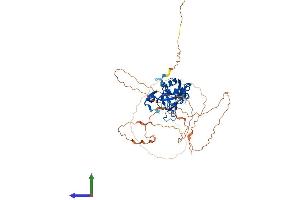 Protein Structure (PS) image for T-Box 5 (TBX5) (AA 1-518) protein (His tag) (ABIN7544198)
