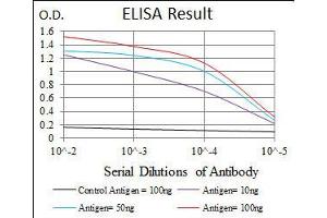 ELISA image for anti-Annexin A1 (ANXA1) (AA 144-248) antibody (ABIN1098115)