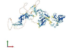 Protein Structure (PS) image for Ring Finger Protein 31 (RNF31) (AA 1-1072) protein (His tag) (ABIN7555248)