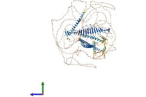 CENPJ Protein (AA 1-1338) (His tag)