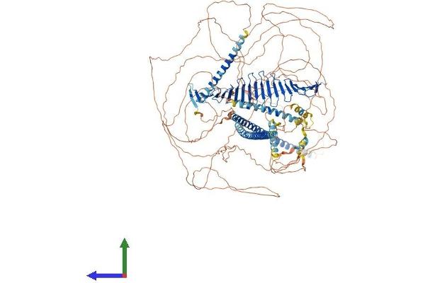 CENPJ Protein (AA 1-1338) (His tag)