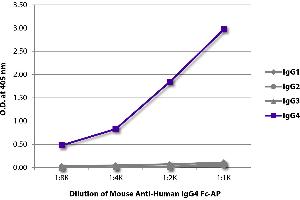 ELISA plate was coated with purified human IgG1, IgG2, IgG3, and IgG4. (Maus anti-Human IgG4 (Fc Region) Antikörper (Alkaline Phosphatase (AP)))